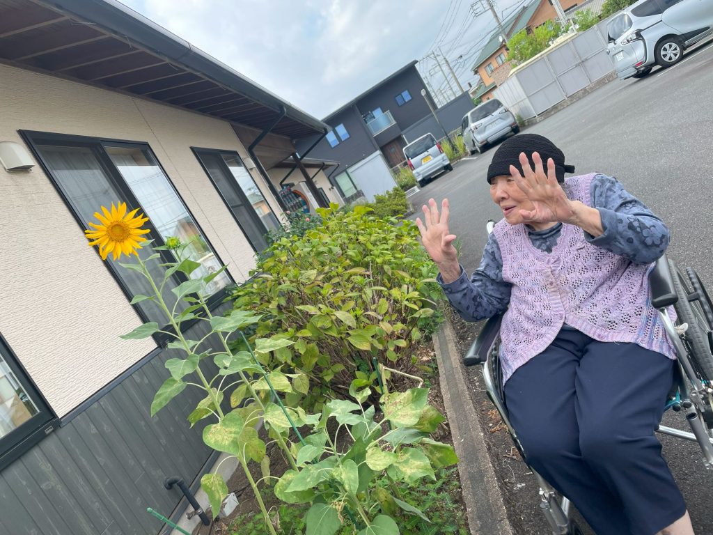 ひまわりが咲きました｜ブログ｜湖山医療福祉グループ 社会福祉法人 湖聖会